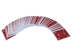 OmniSense Playing Cards