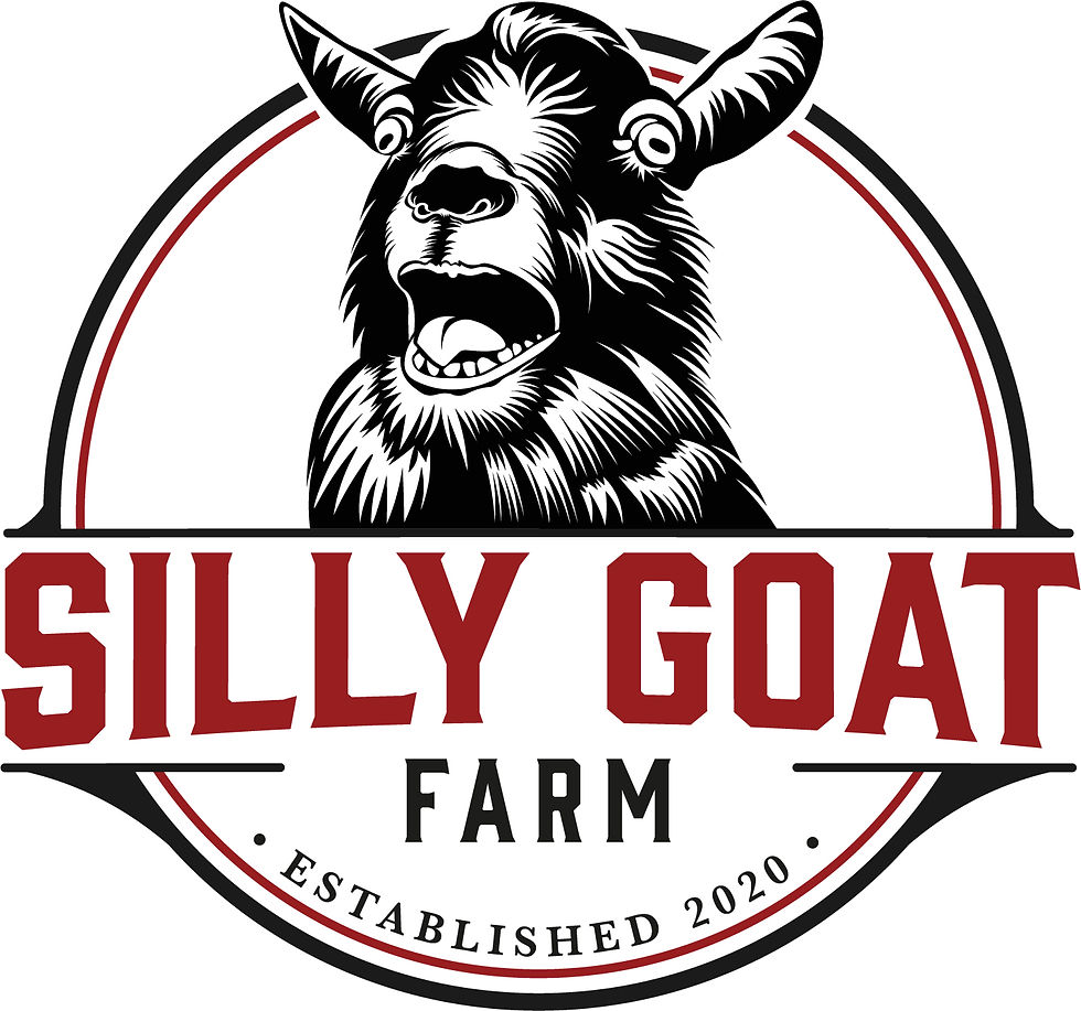 Ben Jones with Silly Goat Farm