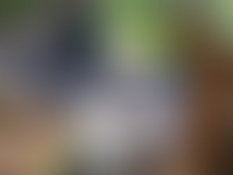 One killed, two injured in plane crash at Elk River
