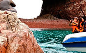 tour-islas-ballestas.jpg