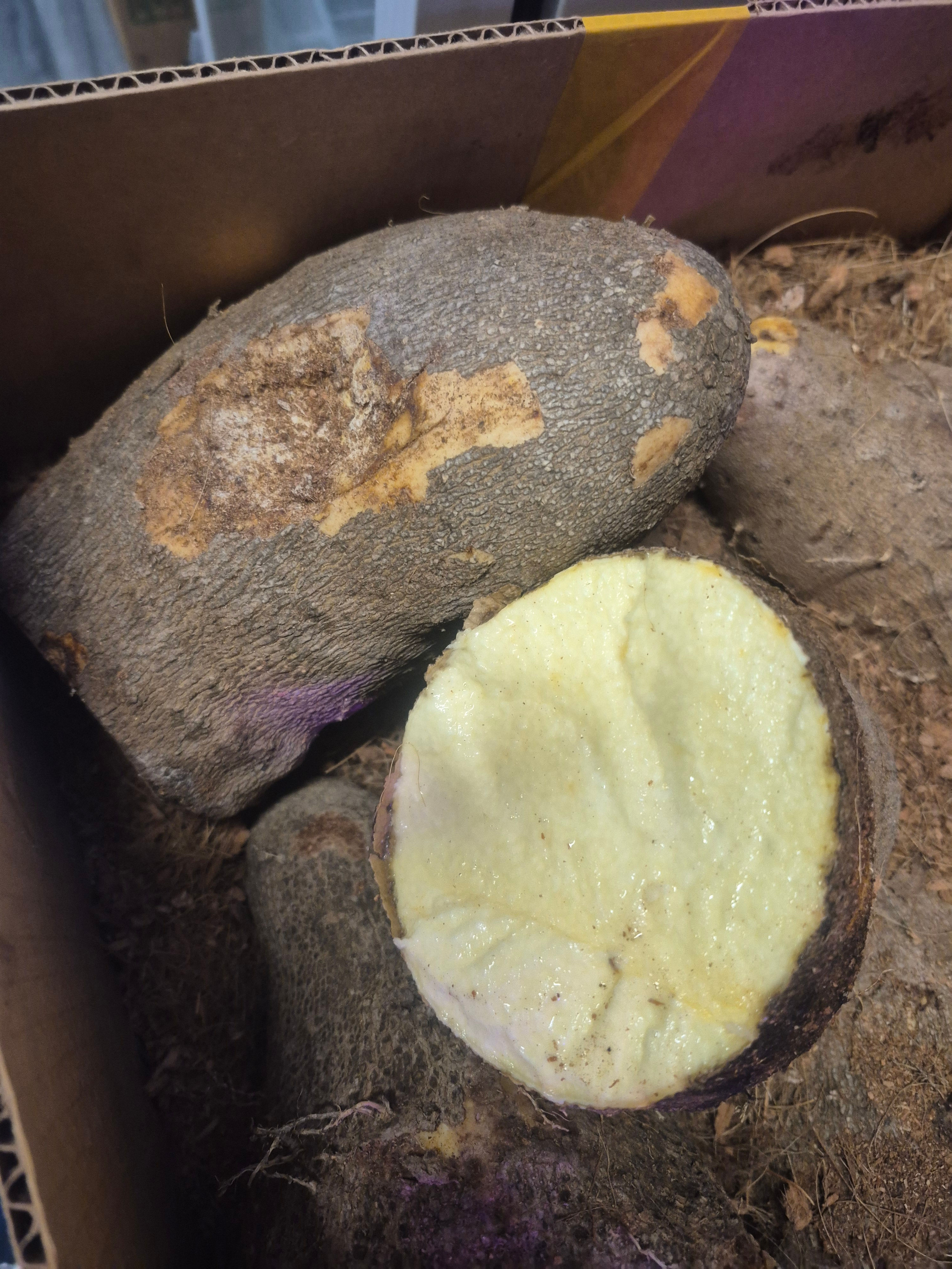 Yellow Yam