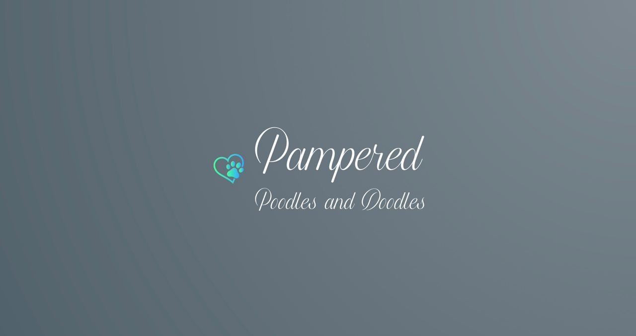 Pampered poodles and doodles sale