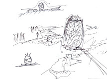Sketch 1.jpg