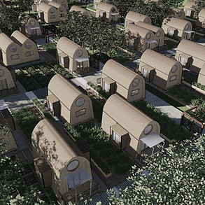 Mycelium C _edited.jpg