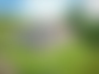 Discovering The Rookery: The Ultimate Dog-Friendly Retreat in Lancashire