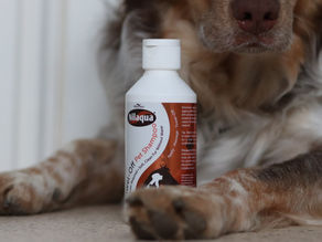 Tested: Waterless Nilaqua