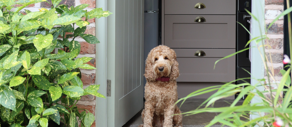 The Burrow at Sandhole Cottages – A Dog-Friendly Cheshire Escape