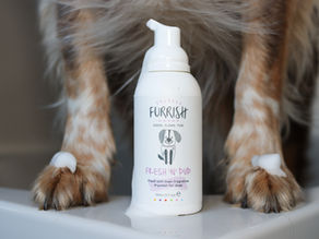 Tested: Furrish Fresh 'n' pup