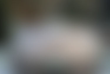 PLATINUM Dog Bowl Full of Food!