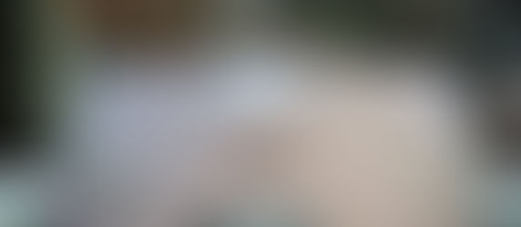 PLATINUM Dog Bowl Full of Food!