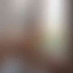 Cockapoo watching out of glass door