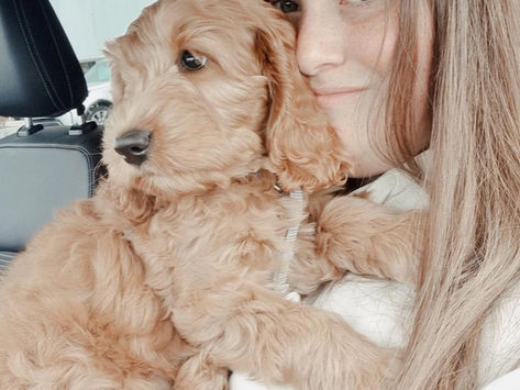 Puppy Crumble and Me