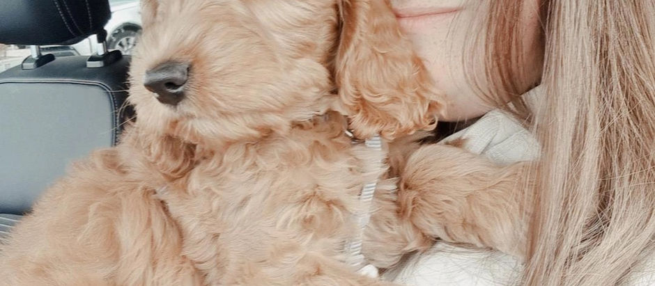 Puppy Crumble and Me 