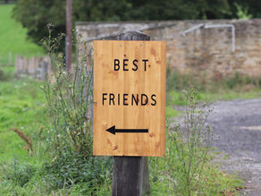 A Trip to Best Friends Secure Dog Field