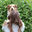 Writer: Sarah & Chester 