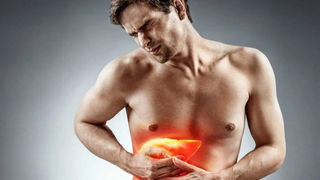 Dr. Segnini hígado graso ecografía diagnóstico