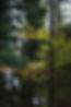 L1006313.jpg