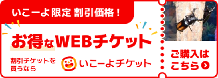 いこーよ限定割引価格！お得なウェブチケットのご購入はこちら