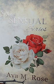 TSS SE Front on.jpg