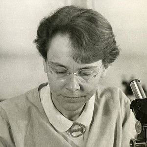 Susanne Müller