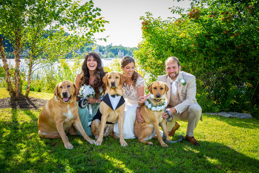 A bride and groom crouch down with a bridesmaid with three golden retriever dogs who are dressed in tuxedo outfits.