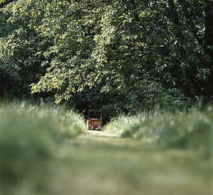 Lawn Mower