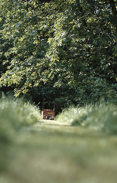 Lawn Mower