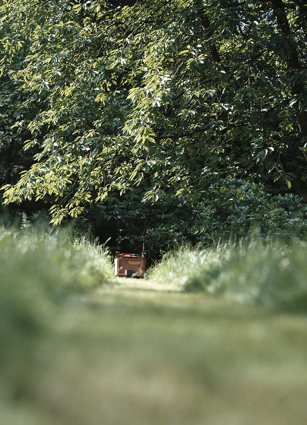 Lawn Mower