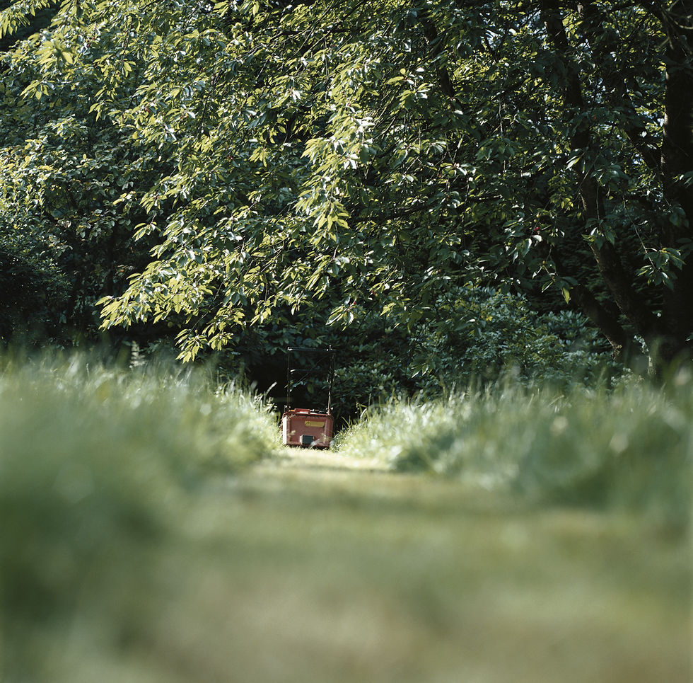 Lawn Mower