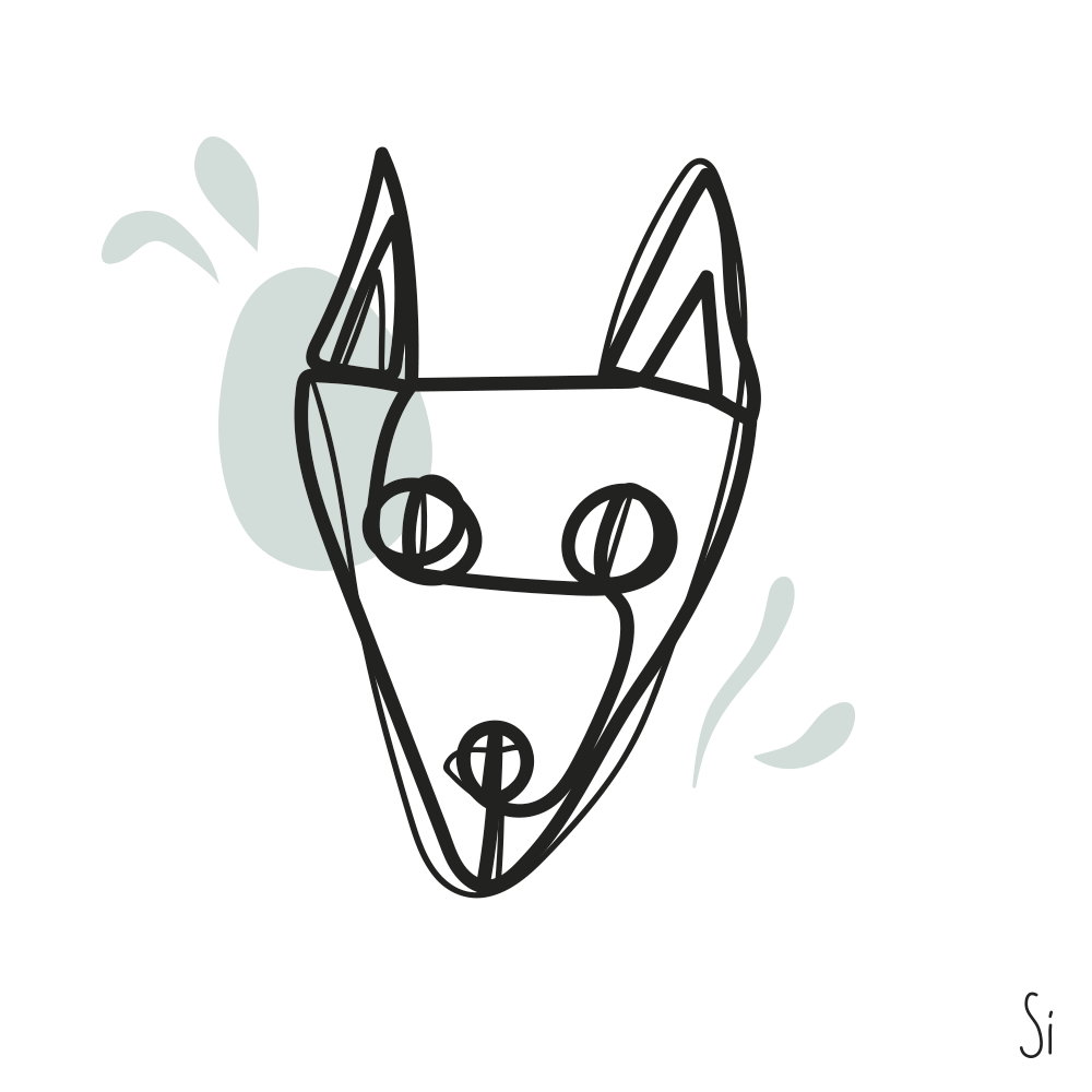 cat gif.gif