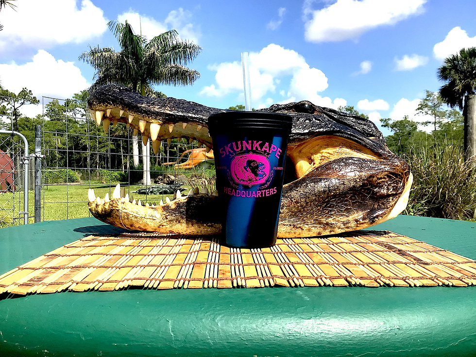 Thumbnail: Sili Pint Cups