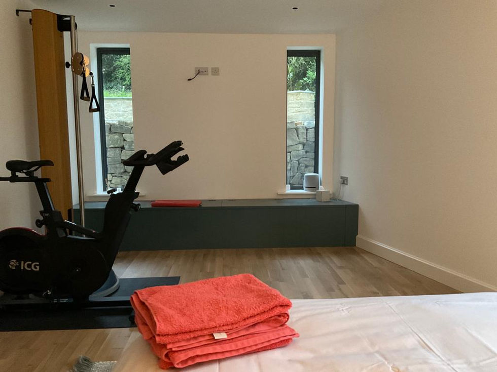 Gym & Guest bed 2