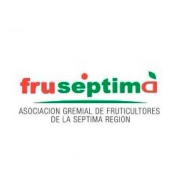 fruseptima