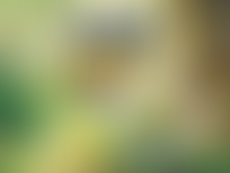 100 Battle Collection