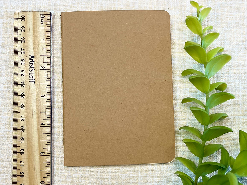 Thumbnail: Sassy 4 Pack Pocket Notebooks