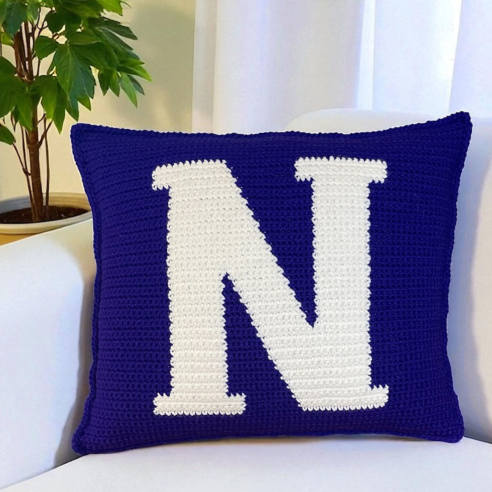 Letter N Crochet Pillow Pattern