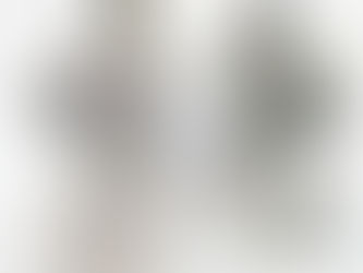 Van bi điều khiển điện Haitima Đài Loan