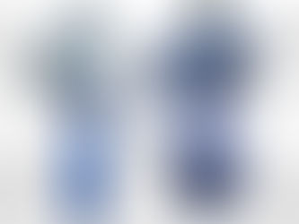 Van bướm điều khiển điện Haitima