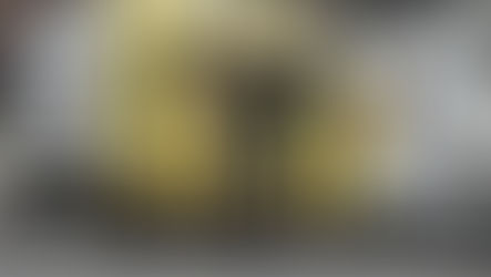 Vereador Volnei pede novo horário para recolhimento do lixo no Centro