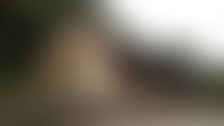 Secretaria da Educação incentiva estudo sobre a história ferroviária de Gramado