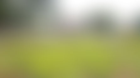 Concorrência da cafeteria no Centro de Cultura Arno Michaelsen sai sexta, 3 de setembro