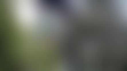 PP, PMDB e PSDB mantêm liderança em número de filiados na cidade