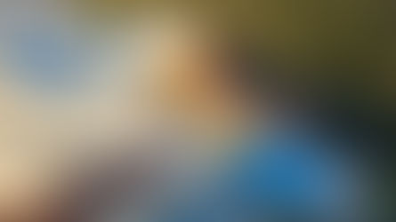 Com 360 mil visitantes no período, Acquamotion comemora primeiro ano de atividade em Gramado