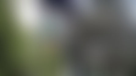 Inconstitucionalidade barra eleição direta para diretor de escola