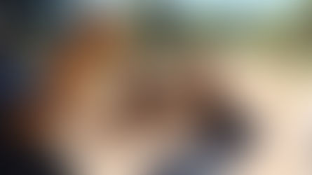 Prefeitura abre licitação para asfaltamento da Estrada da Linha Furna