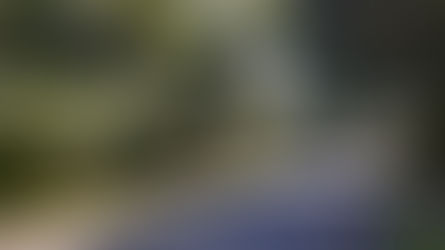 Secretaria do Meio Ambiente celebra o Dia da Terra na sexta-feira, 22