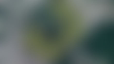 Projeto do Parque das Orquídeas tramita na Câmara Municipal