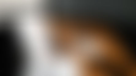 5 livros que todo escritor precisa ler