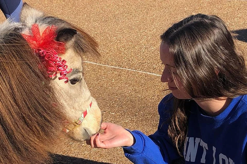 girl connecting with horse in ground-based activities learning horse skills