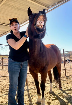 horses partnering for purpose